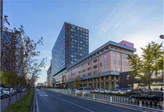 定襄对焊法兰批发